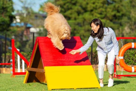 Ｗａｎ’ｓ　Ｒｅｓｏｒｔ　城ヶ崎海岸