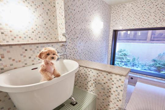 ルシアン旧軽井沢