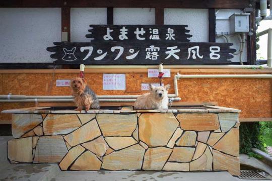 よませ温泉　プチホテル　パディントンハウス