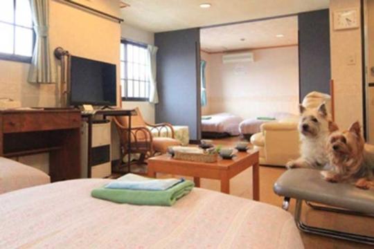 よませ温泉　プチホテル　パディントンハウス