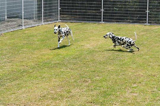 ＤＥＳＩＧＮ　ＨＯＴＥＬ　ＦＯＬＯＮ