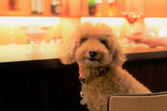 レジーナリゾート旧軽井沢