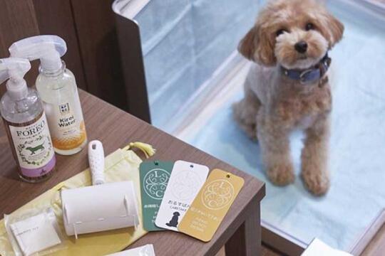 ルシアン旧軽井沢（共立リゾート）