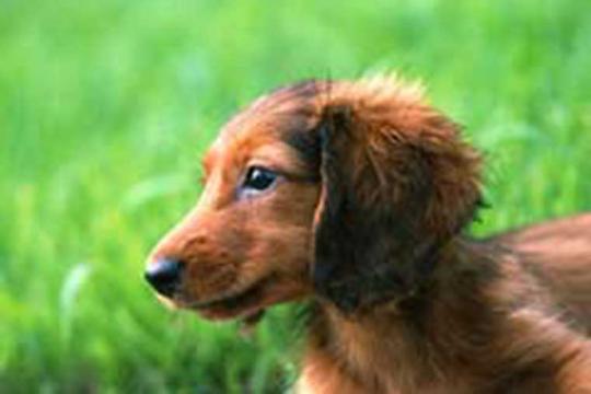 奥志賀高原ホテル