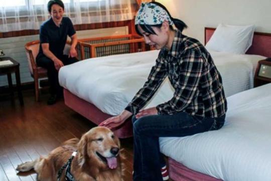 奥志賀高原ホテル