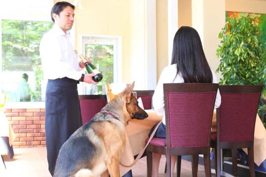 軽井沢　ホテルそよかぜ