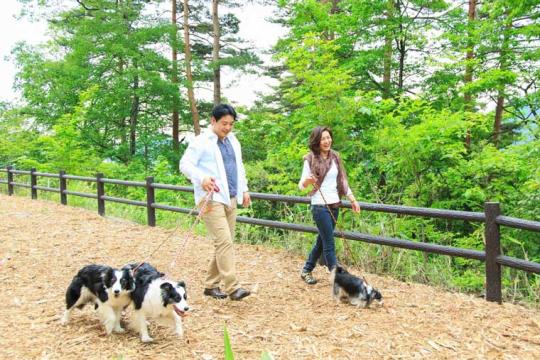 安曇野わんわんパラダイスＪｒ