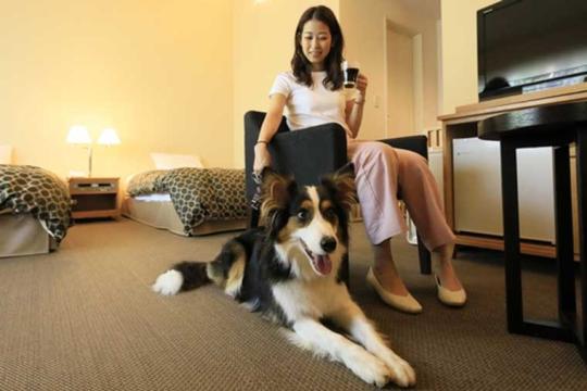 ゆとりろ蓼科ホテルｗｉｔｈＤＯＧＳ