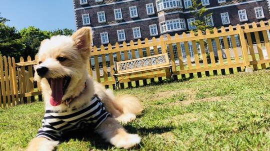 那須温泉　ウェルネスの森　那須