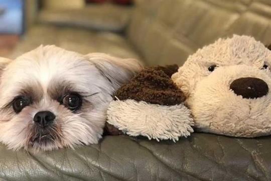 赤湯温泉　升形屋旅館