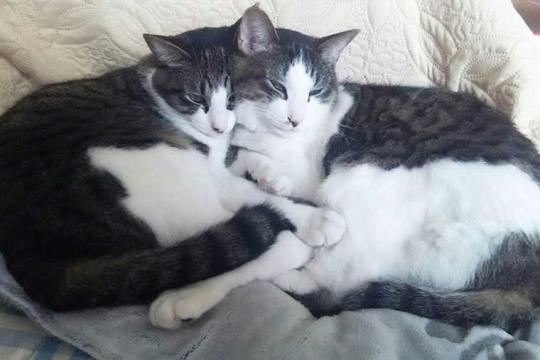 ＴＡＭＡ　ＨＯＴＥＬ