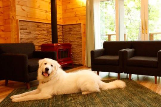 エンゼルフォレスト那須白河