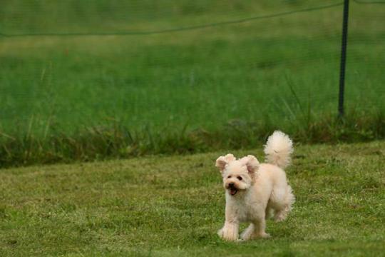 ホテルプルミエール箕輪