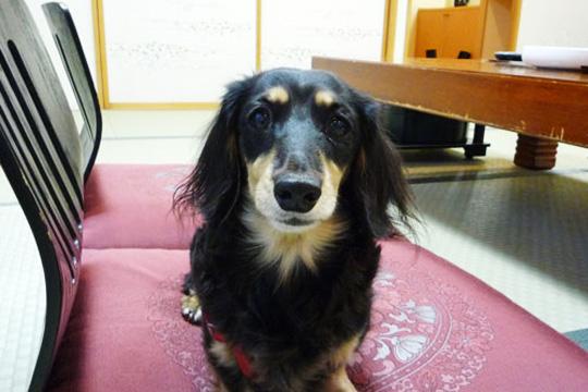 高湯温泉　花月ハイランドホテル