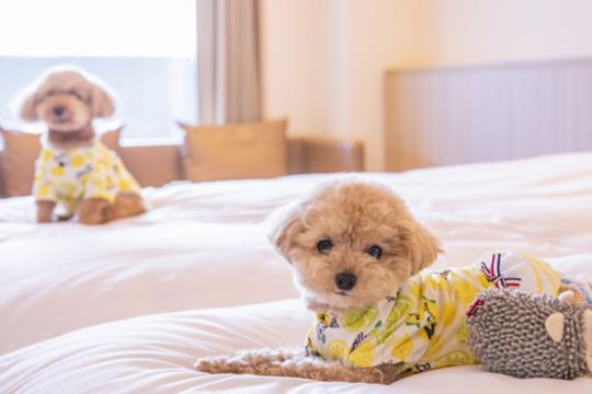 センチュリーマリーナ函館