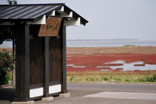 さんご草の郷 能取の荘 かがり屋