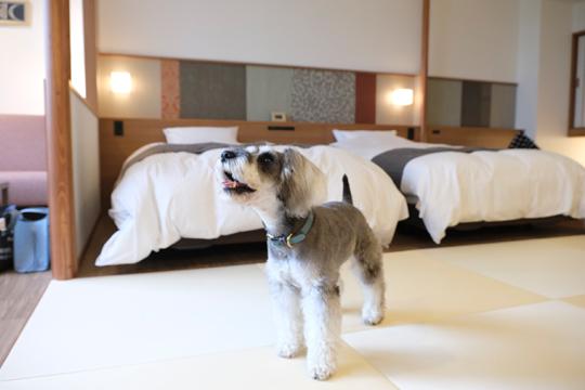 十勝川温泉 観月苑