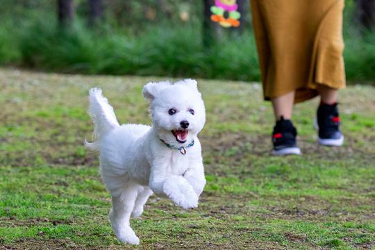 北湯沢温泉郷　湯元　ホロホロ山荘