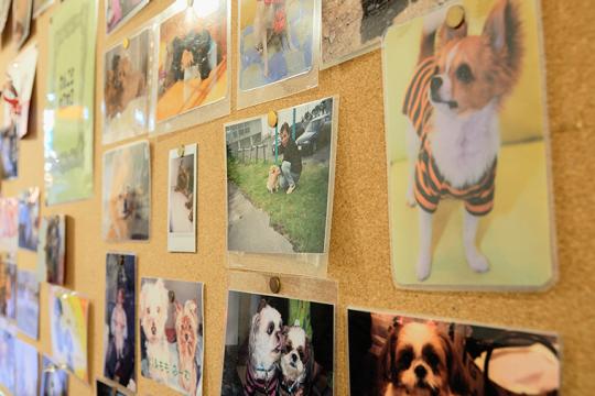 北湯沢温泉郷　湯元　ホロホロ山荘