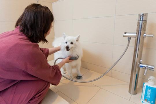 ザ レイクビュー TOYA 乃の風リゾート