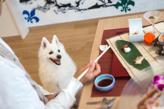 ザ レイクビュー TOYA 乃の風リゾート