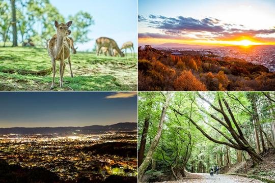 ＡＮＤＯ　ＨＯＴＥＬ　ＮＡＲＡ　ＷＡＫＡＫＵＳＡＹＡＭＡ・アンドホテル奈良若草山