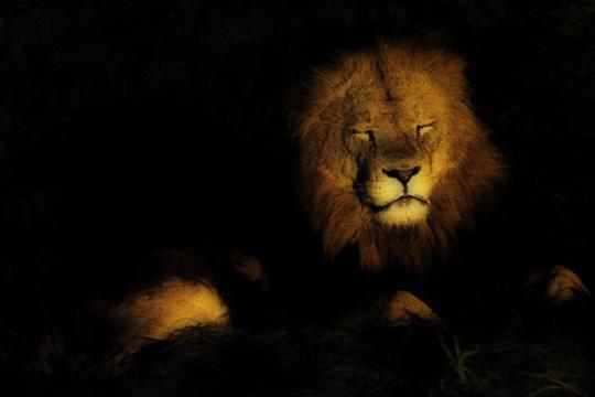 那須サファリパーク