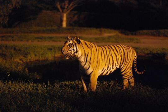 姫路セントラルパーク