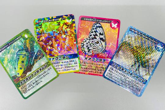 美らヤシパークオキナワ・東南植物楽園