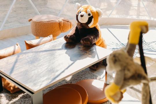 プチホテル　伊豆シャボテンヴィレッジ