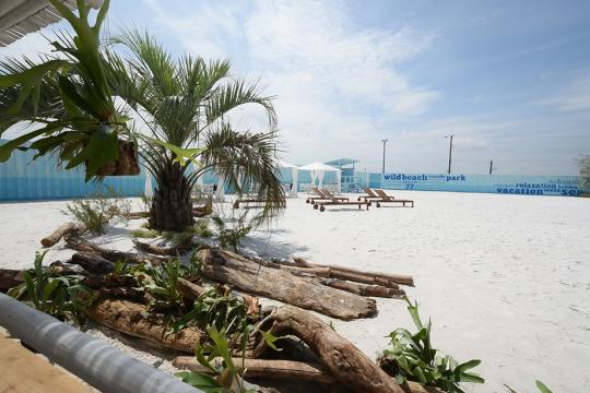 ＷＩＬＤＢＥＡＣＨ木更津