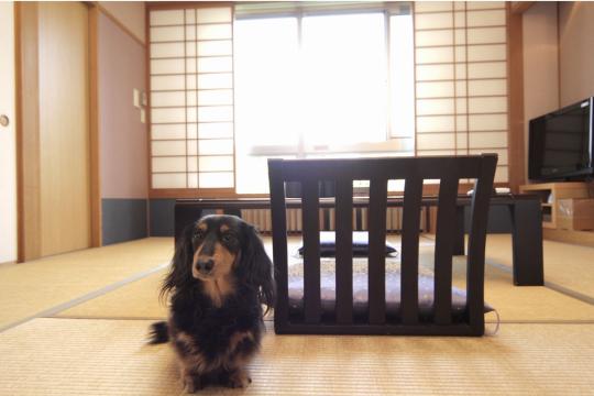 二の平温泉　ペットと泊まる宿　Ｄｏｇ’ｓ　Ｒｅｓｔ　Ｐｌａｃｅ⑫