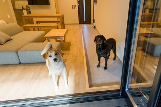 Ｒａｋｕｔｅｎ　ＳＴＡＹ　日光宝殿㉓