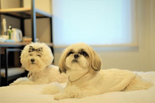 イチホテル浅草橋⑤