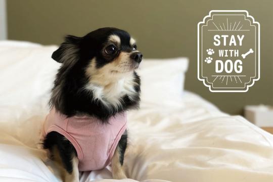 ホテル・トリフィート柏の葉⑦