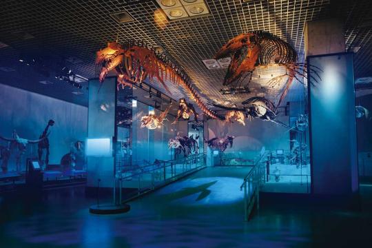 国立科学博物館