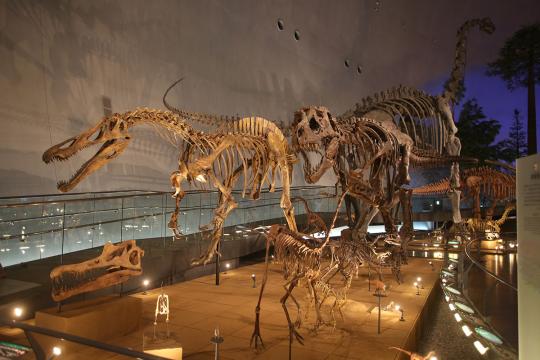 福井県立恐竜博物館