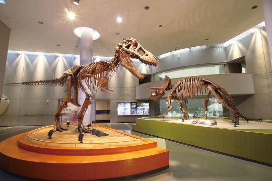 豊橋市自然史博物館