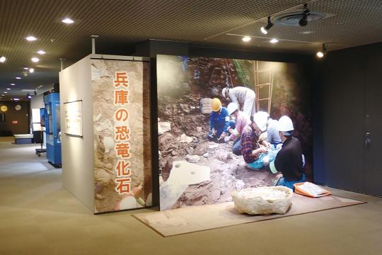 兵庫県立人と自然の博物館