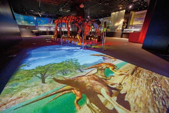 奥出雲多根自然博物館