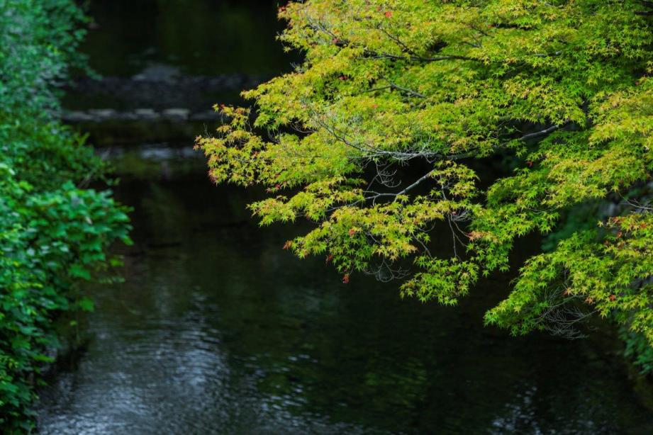 ROKU KYOTO LXR Hotels & Resort