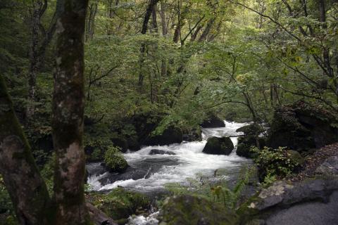 十和田八幡平国立公園