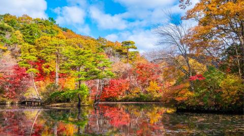 神戸市立森林植物園