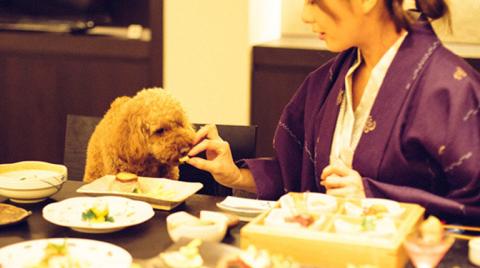 【2021年版】九州のペットと泊まれる人気の宿ランキングTOP10