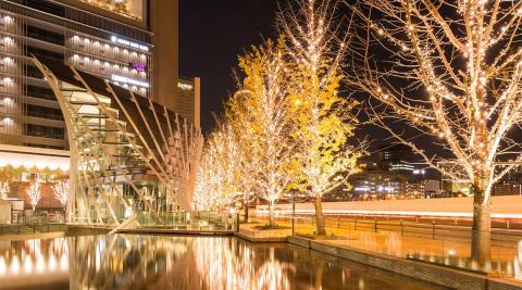 シャンパンゴールドイルミネーション