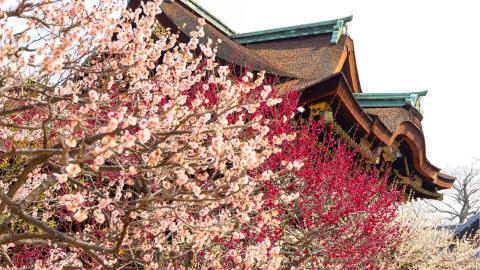 関西2月のお出かけスポット