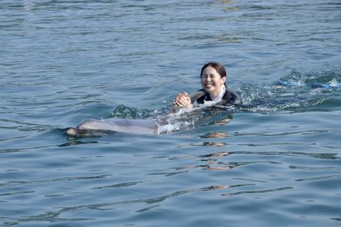 ドルフィンスイム体験様子2