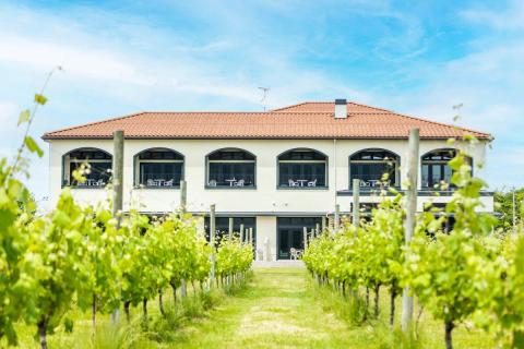 Winerystay TRAVIGNE