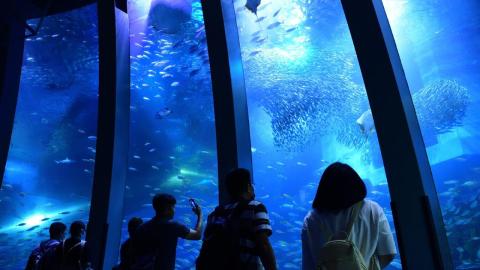 横浜・八景島シーパラダイス