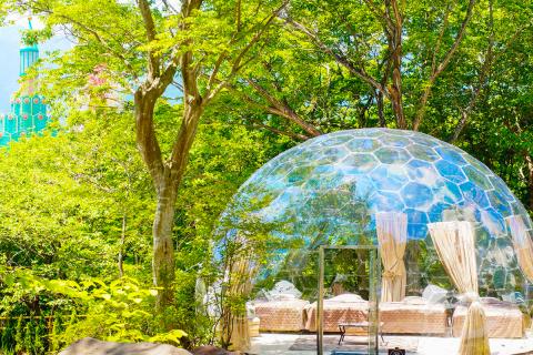 那須ハイランドパークオフィシャルホテル　ＴＯＷＡピュアコテージ